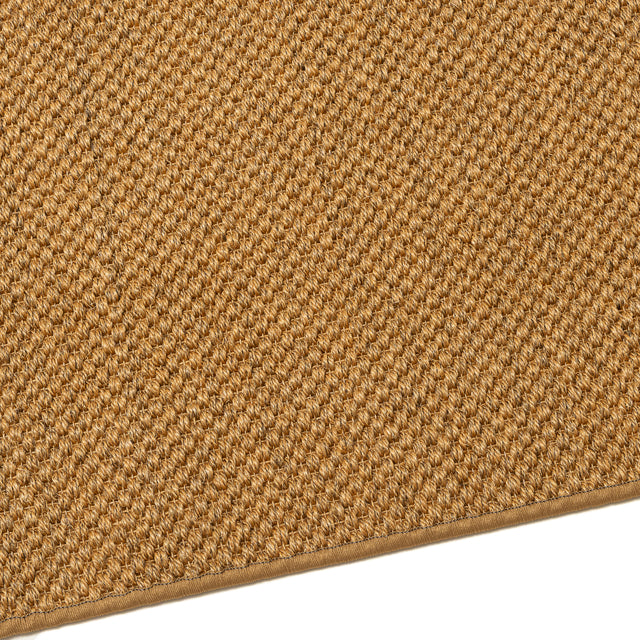 Sisal Grand Panama Nature