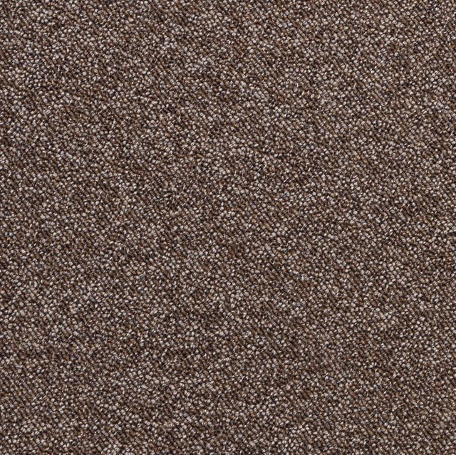 Coburn Taupe