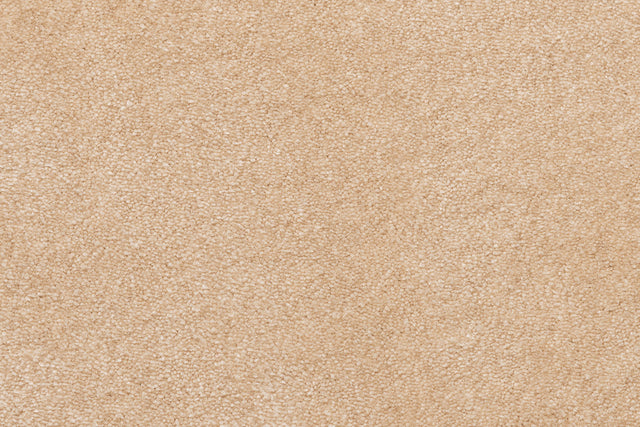 Starlight Beige