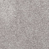Fantasy Silver 